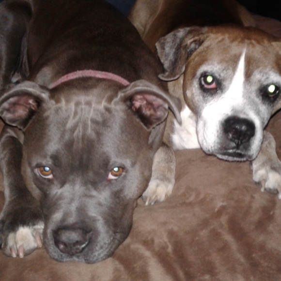 Meet your Posher, Aubrey - Picture 6 of 6